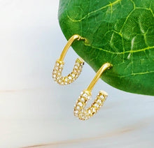 Load image into Gallery viewer, Edgy Chic Pin Shape Earrings